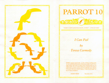 PARROT 10 I Can Feel